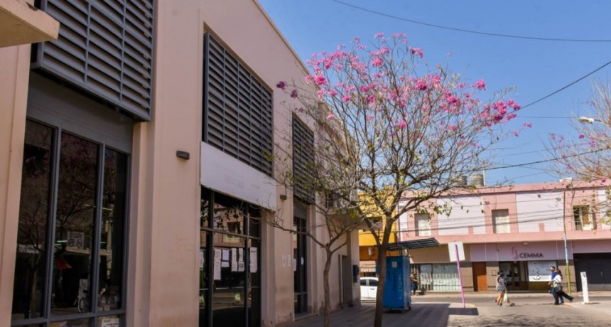 Nueva prórroga para la moratoria de deudas y tasas municipales hasta el 31 de agosto