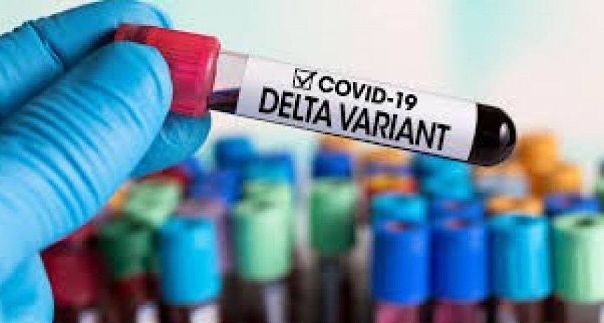 Confirmaron nueve casos más de la variante Delta en viajeros
