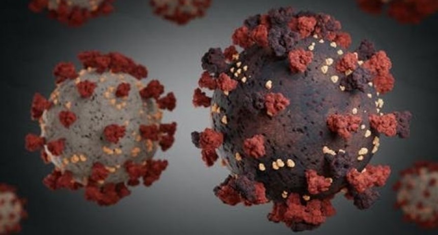 Argentina reportó 17 nuevos casos de la variante Delta de coronavirus