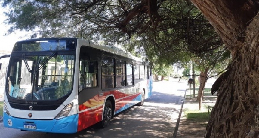 Insólito: Rioja Bus debe suspender un corredor por el mal estado de las calles