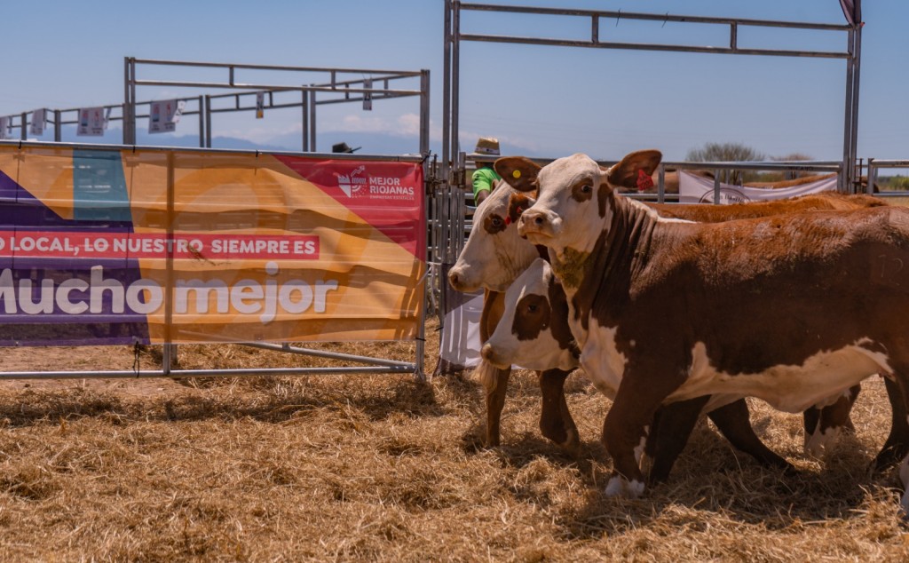 Se realizará el segundo Remate de Cabañas Riojanas