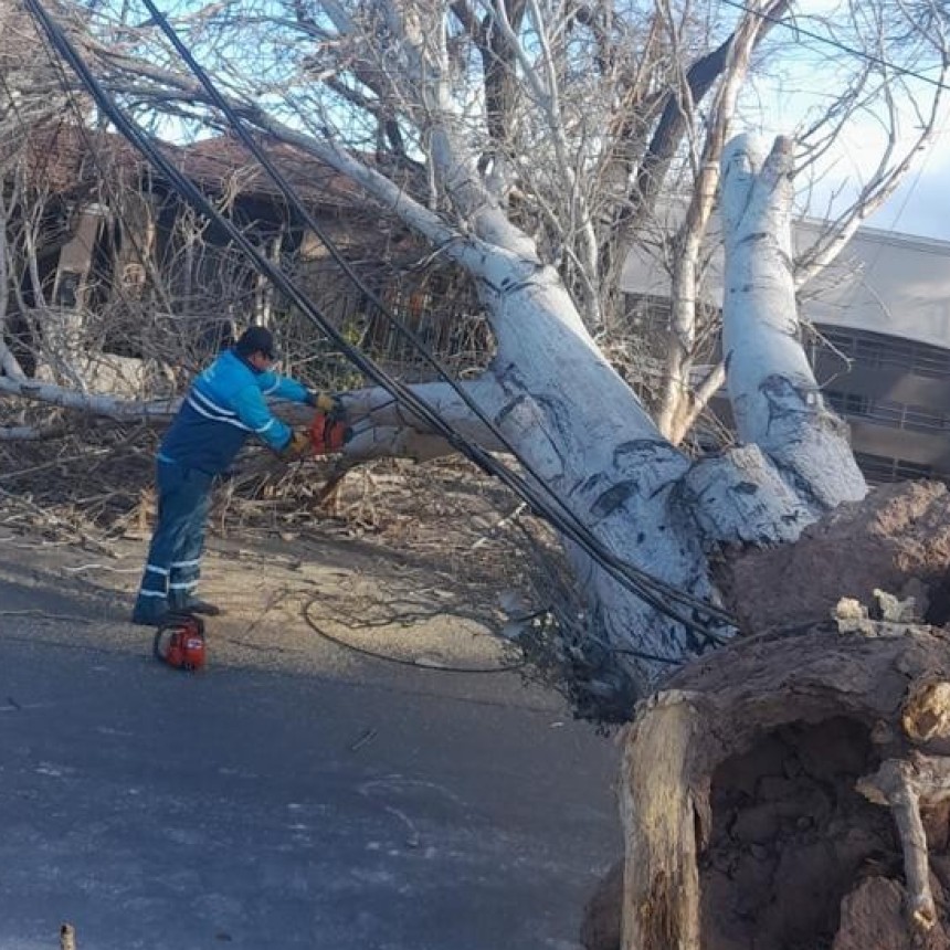 El viento Zonda deja muertes, destrozos y vuelos demorados en Mendoza