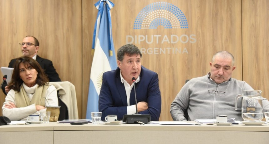 La Libertad Avanza se opone al pedido de reforma de organizaciones de electropendientes para tener energías alternativas