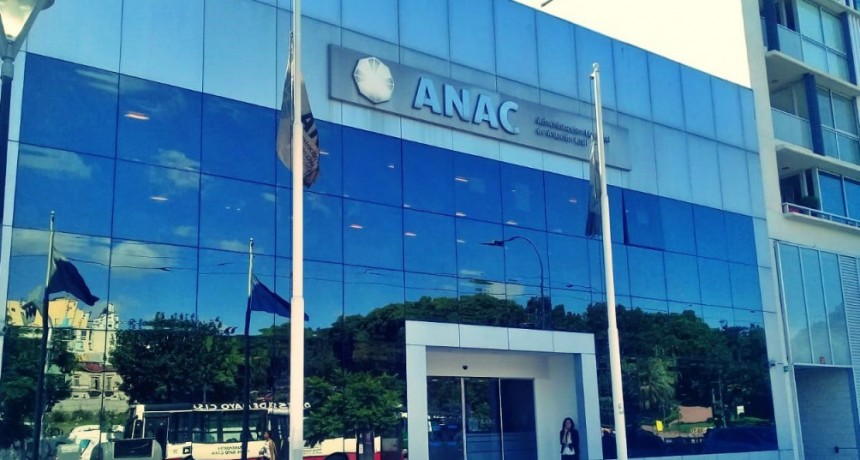 Gobierno comenzó proceso de privatización de ANAC