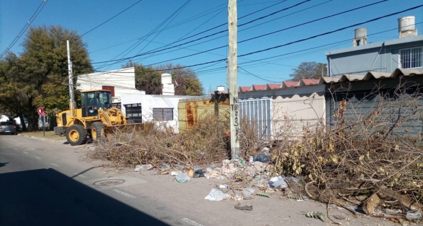 Municipio continúa erradicando microbasurales en la ciudad