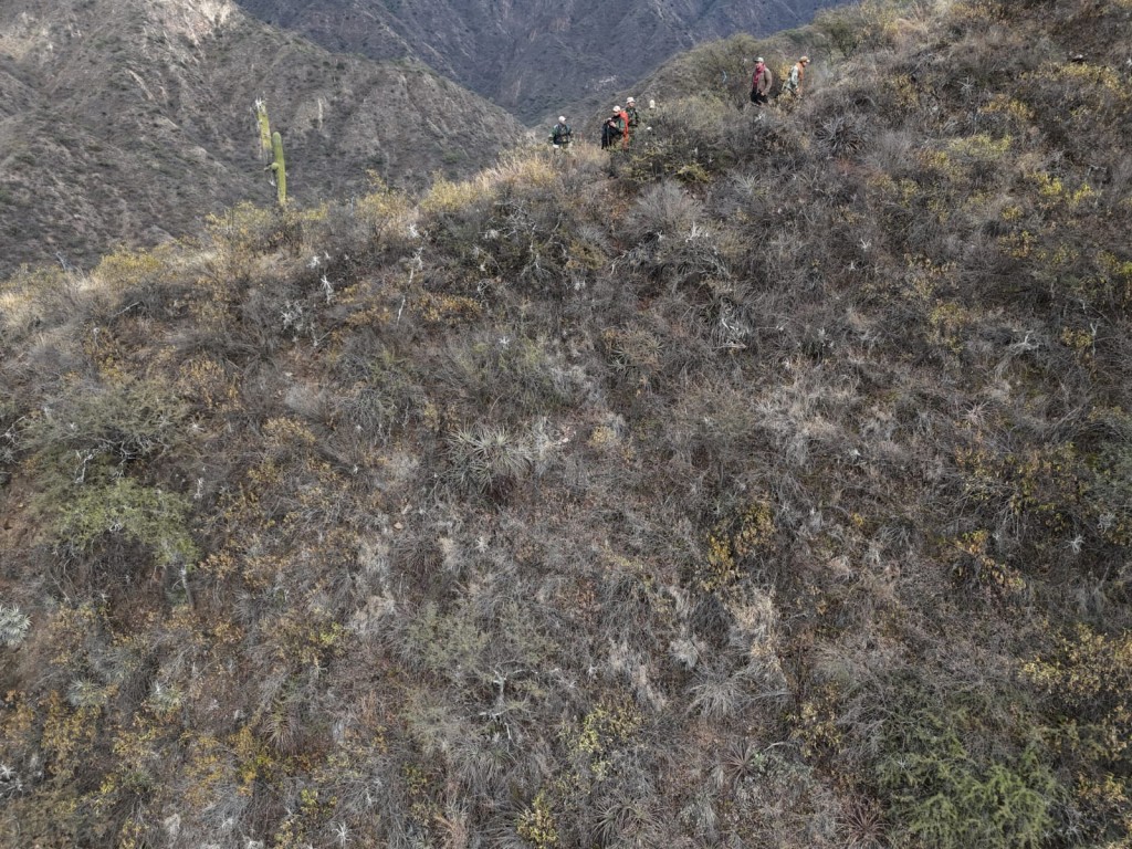 Continua la búsqueda de Jose Portugal en la zona del cerro El Morro