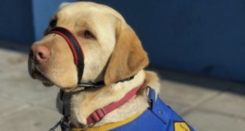 Mendoza: Ainda se encontrará con un niño con autismo gracias a cadena solidaria