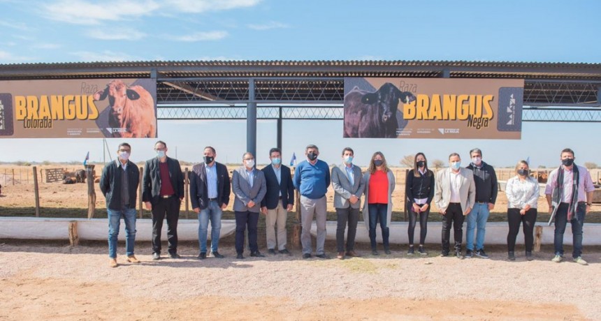 El Gobernador inauguró la Cabaña “Caudillos Riojanos” en el Campo Santa Rita 