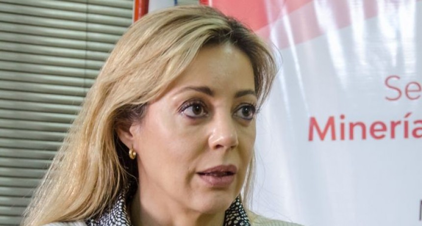 Flavia Royón es la nueva secretaria de Energía