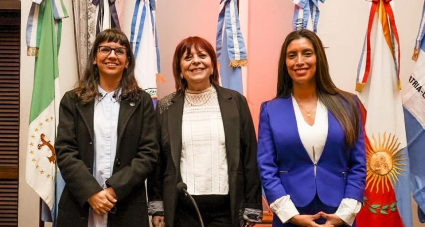  El Parlamento del Norte Grande buscará que sus proyectos se concreten en leyes  