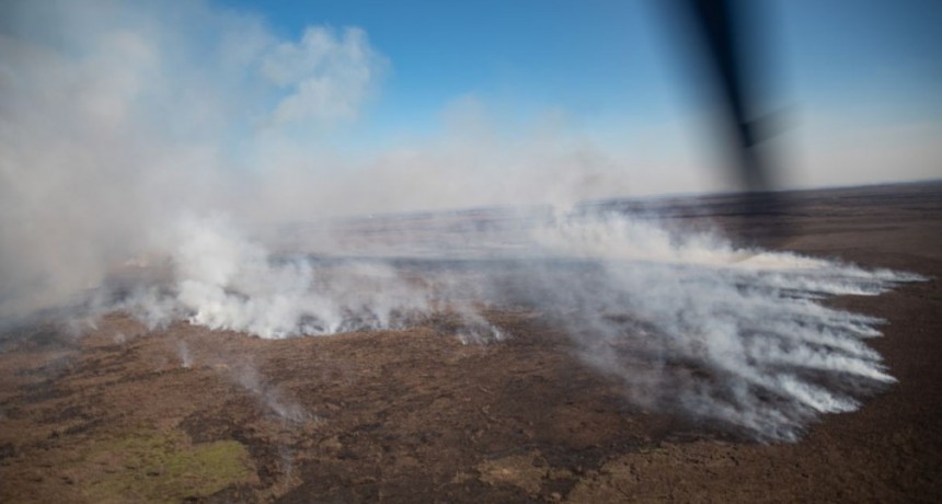 El Presidente ordenó la actuación de las Fuerzas Armadas ante los incendios