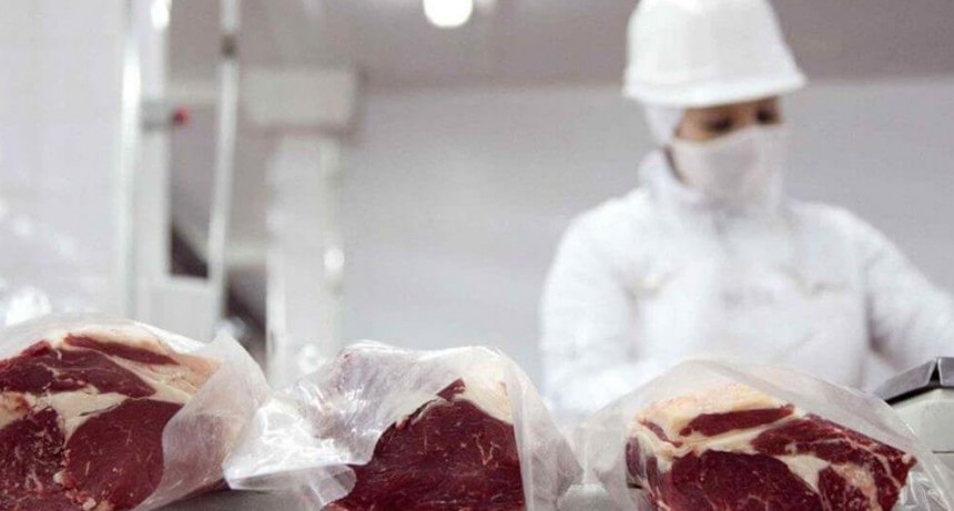 El Gobierno  confirmó que no se cerrarán las exportaciones 