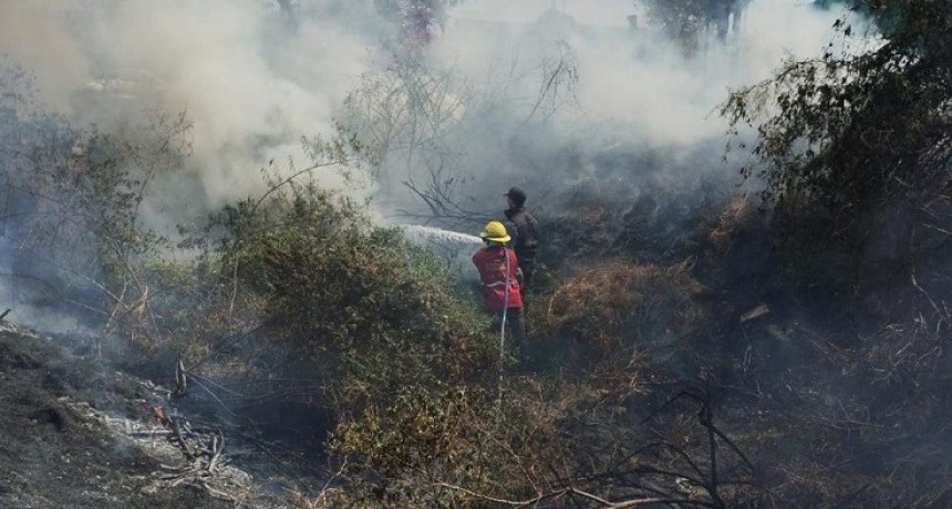 El COE sofoco tres focos de incendio en la Capital
