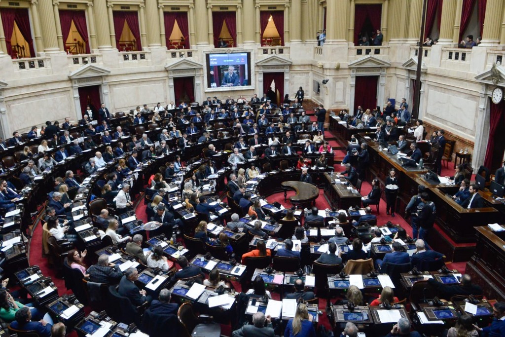 Presupuesto universitario y del Garrahan: Diputados tratarán el tema en una sesión central
