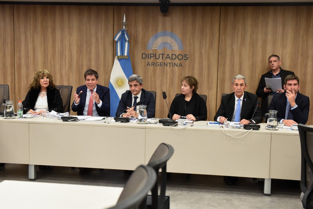 Diputados avanzarán en una ley para prevenir el Alzheimer