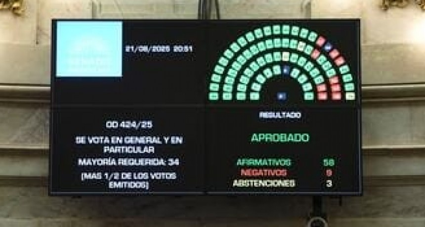 El Senado convirtió en ley el financiamiento universitario