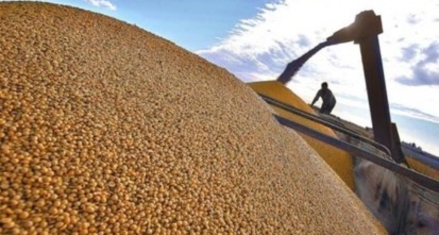 Múltiples quejas por el dólar especial y la aplicación de tasas más elevadas a los productores de soja