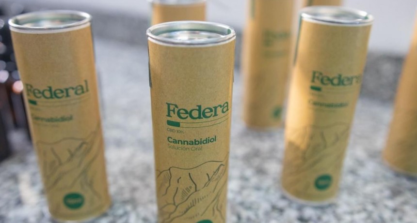 El próximo martes será presentado el aceite de cannabis medicinal 