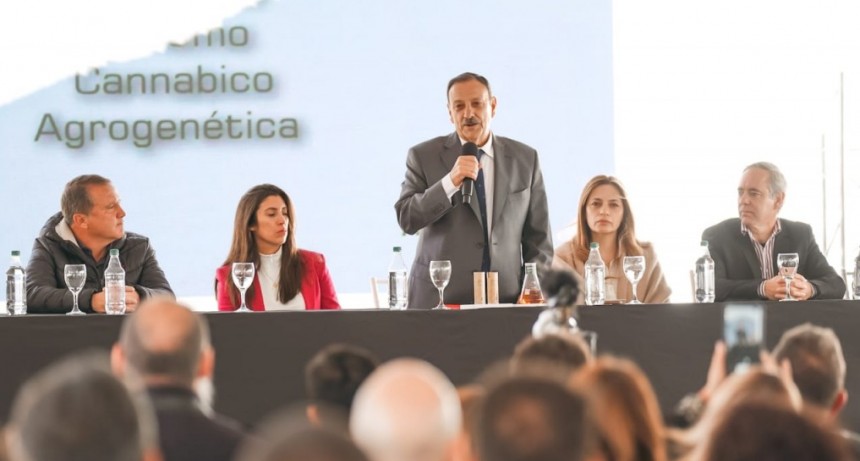  Quintela presentó “Federal”, el primer aceite de cannabis medicinal íntegramente producido en La Rioja