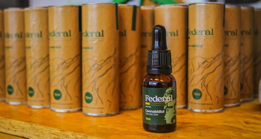  Cannabis Medicinal: Salud distribuirá las 2000 dosis en farmacias habilitadas 