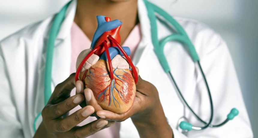 Alerta: más de 280 argentinos mueren por problemas cardiovasculares