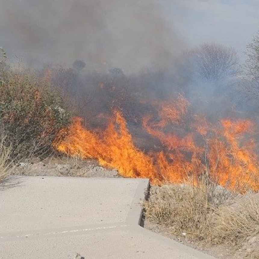 Gobierno implementa acciones para reforzar controles y evitar los incendios