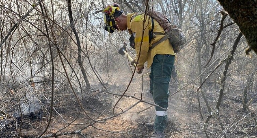 El incendio forestal en el Cordón del Velasco, se activó en el sector El Tala