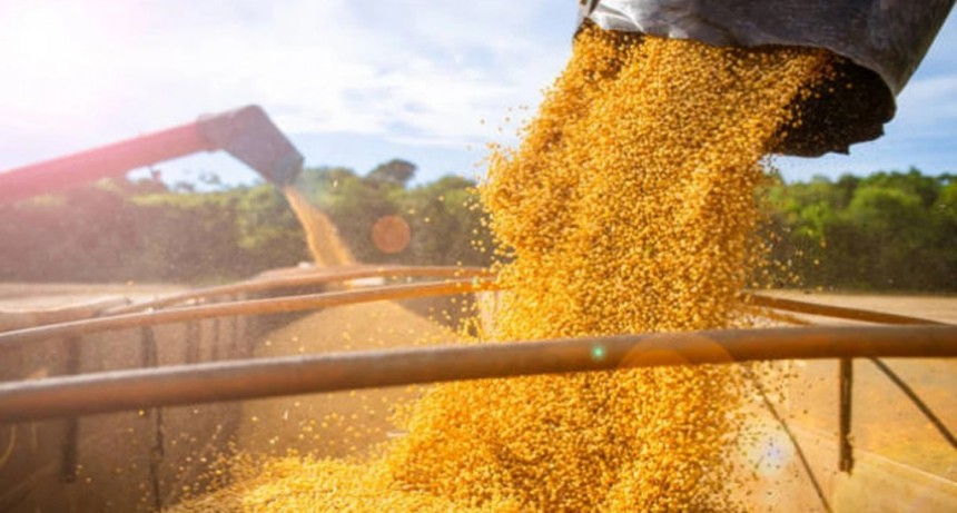 La quita de las retenciones tendrá un impacto más negativo que el financiamiento universitario