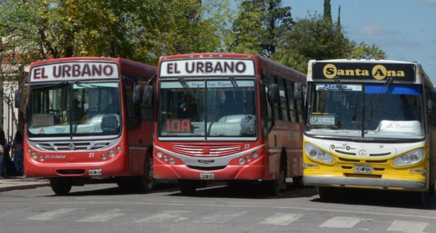 Jujuy: El transporte será gratuito para los ciudadanos que vayan a votar el domingo