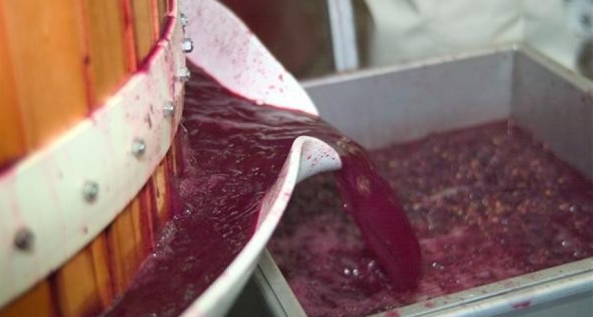 El Gobierno toma medidas para promover las exportaciones vitivinícolas