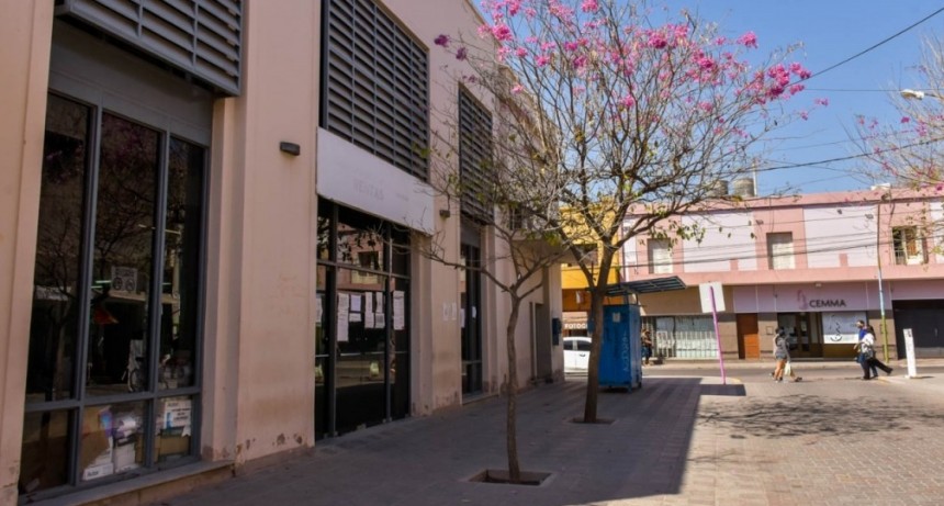 Rentas del municipio amplía horario de atención