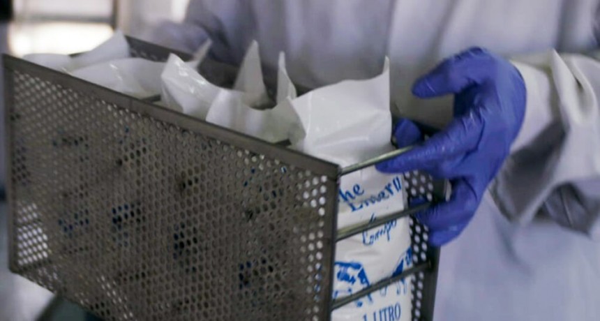 El INTA desarrolló la primera pasteurizadora de leche envasada que abarata costos y garantiza inocuidad