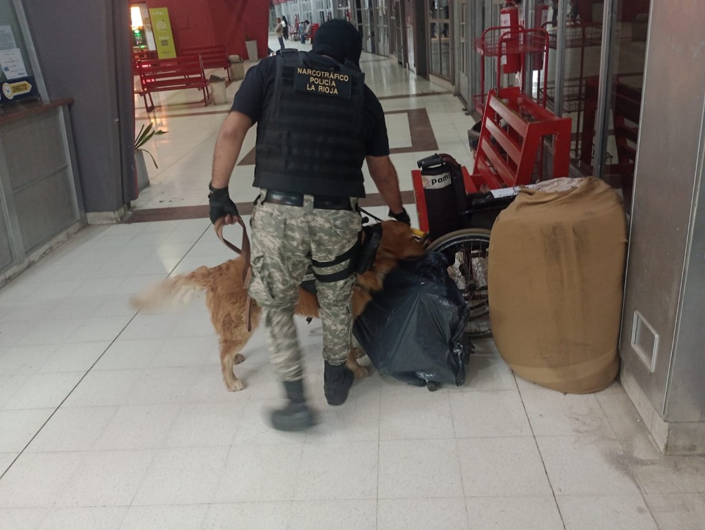 La Policía realizó fuertes operativos de lucha contra el Narcotráfico durante el fin de semana largo