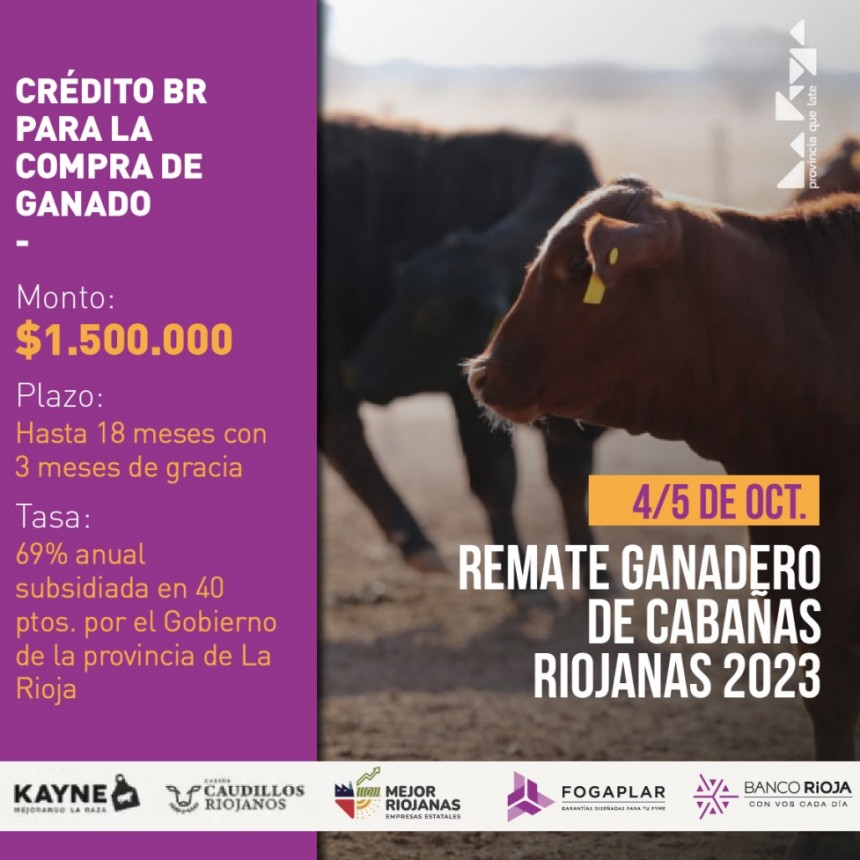 Banco Rioja impulsa línea de créditos para ganado reproductor con la tasa más conveniente del mercado