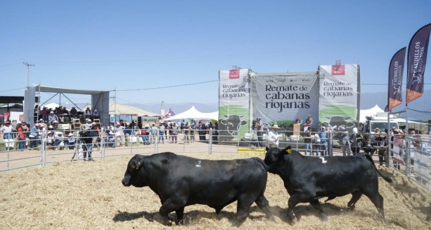 Se realiza en La Rioja uno de los eventos agropecuarios más importantes de la región