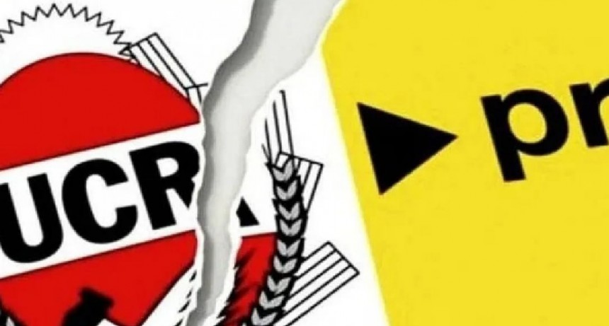 Radicales autoconvocados del Norte Grande se pronunciaron en favor de Massa