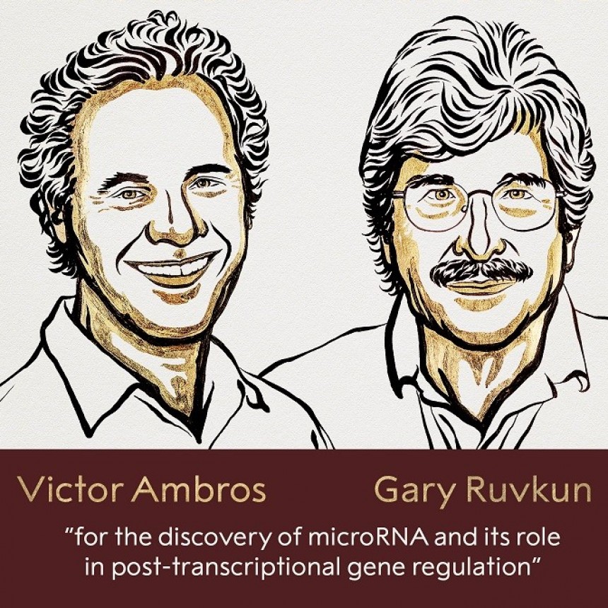  El Nobel de Medicina 2024 fue para Víctor Ambros y Gary Ruvkun por el descubrimiento del microARN