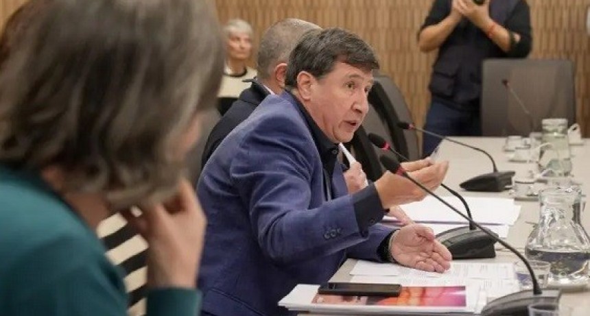 Proponen crear una Asignación Universal por Discapacidad 