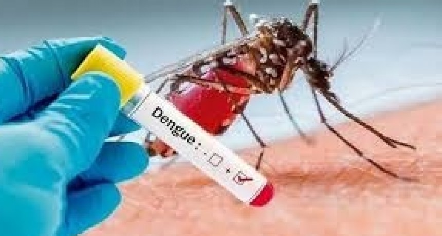 Dengue en Argentina: confirmaron el primer caso de serotipo 4 en el país