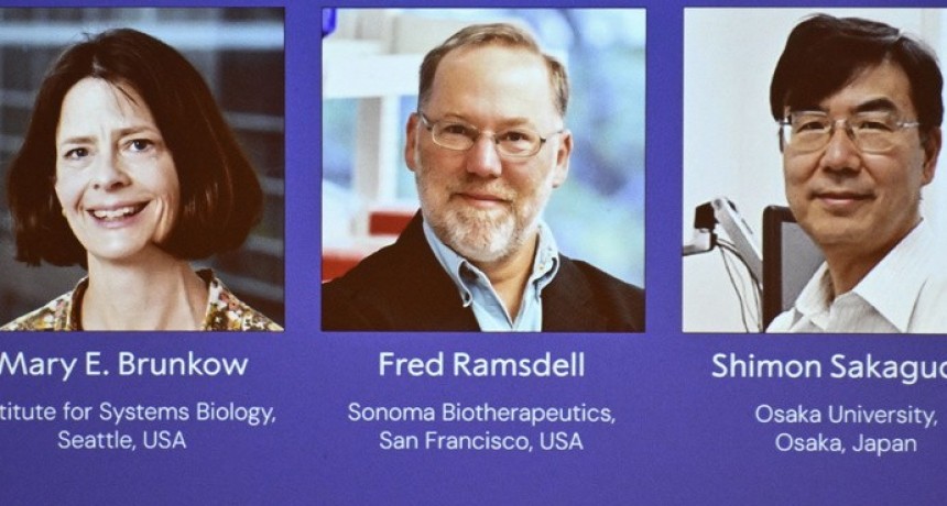 El Premio Nobel de Medicina fue para Mary Bunkow y Fred Ramsdell y el japonés Shimon Sakaguchi