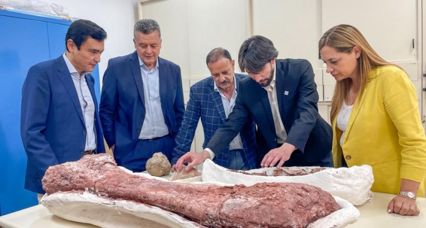 Un dinosaurio riojano recorre el mundo: Nature publica el hallazgo de Huayracursor jaguensis