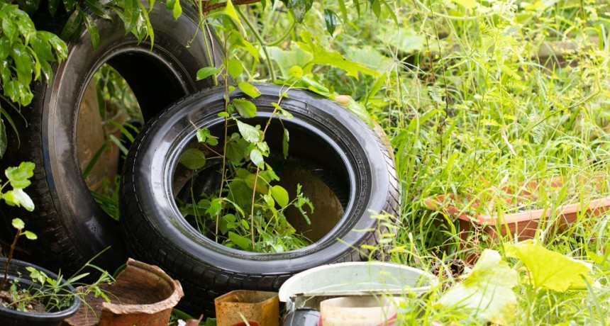 Gobierno continua con el Programa 