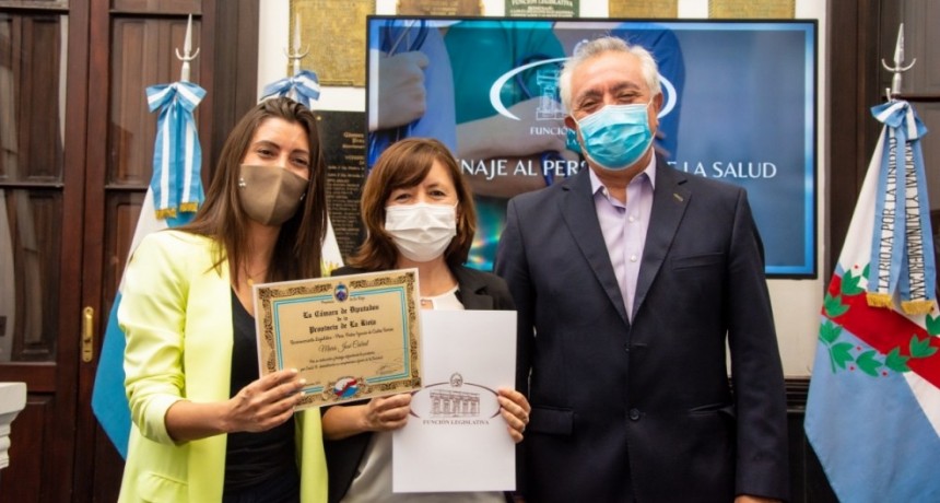 La Cámara de Diputados reconoció al personal de Salud