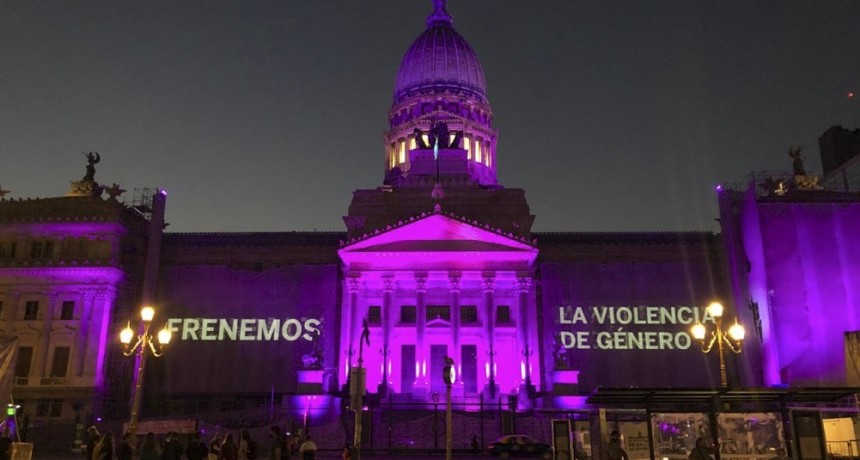El Congreso se iluminó de violeta por el Día Internacional contra la Violencia de Género