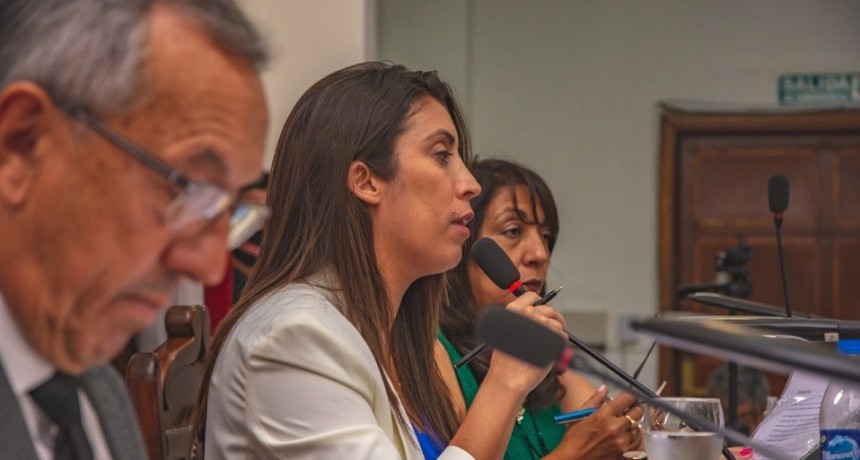 Diputados pasaron a comisión el Presupuesto Provincial 2022