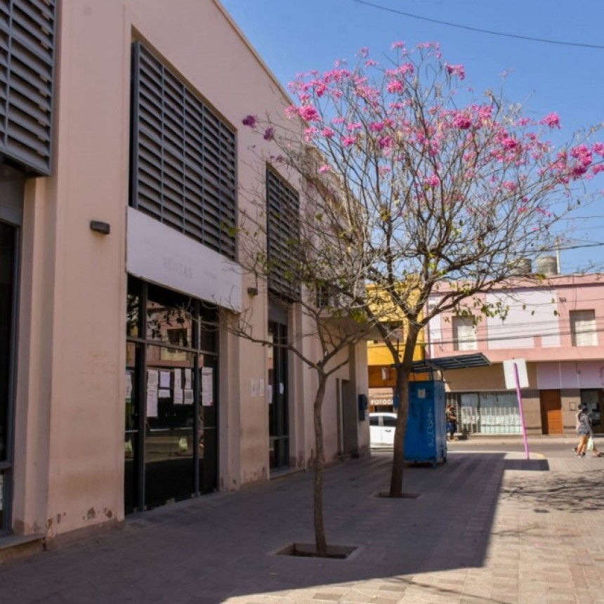 Rentas Municipal informa nueva prórroga en contribuciones