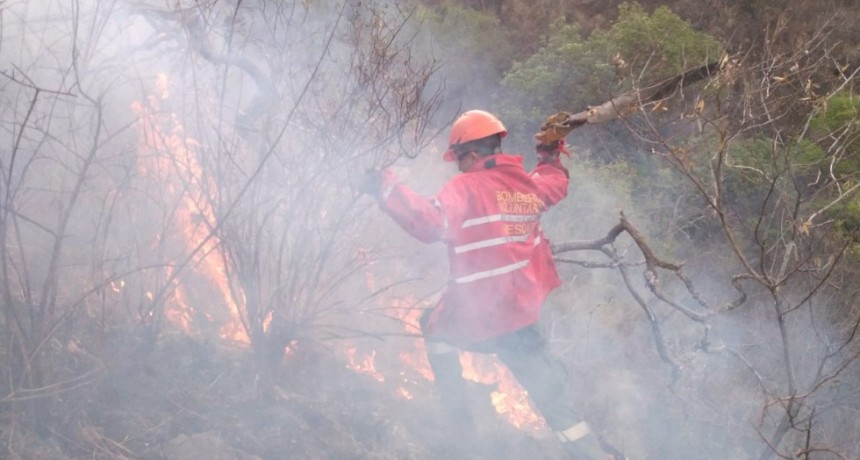 Combaten incendio en el Cerro de La Cruz y ya hay una investigación para determinar a los responsables