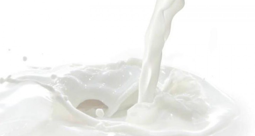 Conaprole congela el precio de la leche a los tamberos hasta fin de año