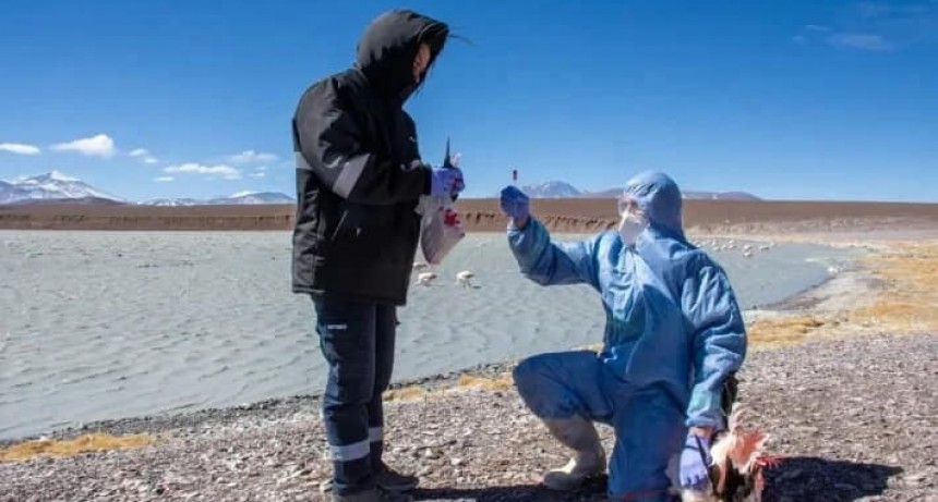 Por sugerencia de SENASA se suspende el ingreso de personas y vehículos no autorizados a Laguna Brava 
