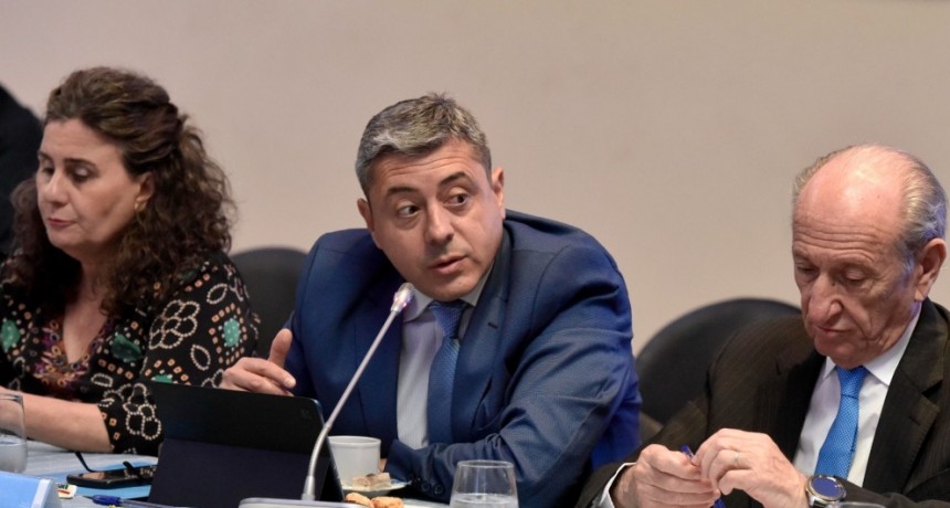 La Rioja presente en una nueva sesion del Consejo Federal de Salud